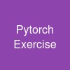 Pytorch Exercise