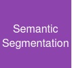 Semantic Segmentation