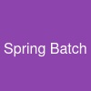 Spring Batch