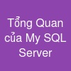Tổng Quan của My SQL Server