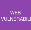 WEB VULNERABILITY