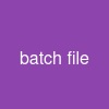 batch file