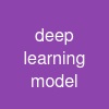 deep learning model