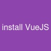 install VueJS
