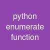 python enumerate function