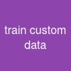 train custom data