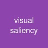 visual saliency