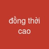 đồng thời cao