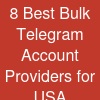 8 Best Bulk Telegram  Account Providers for USA Businesses