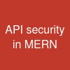 API security in MERN