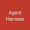 Agent Harness