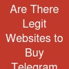 Are There Legit Websites to Buy Telegram Members in 2026?