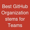 Best GitHub Organization stems for Teams