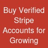 Buy Verified Stripe Accounts for Growing