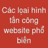 Các lọai hình tấn công website phổ biến