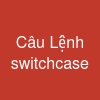 Câu Lệnh switch-case