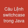 Câu Lệnh switch-case trong Java