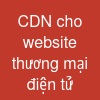 CDN cho website thương mại điện tử