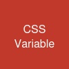 CSS Variable