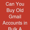 Can You Buy Old Gmail Accounts in Bulk? A Seller’s Perspective