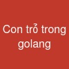 Con trỏ trong golang