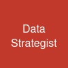 Data Strategist