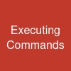 Executing Commands