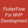 FlutterFlow For MVP Development