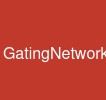 GatingNetwork