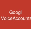 Googl VoiceAccounts