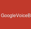 GoogleVoiceBulk
