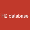 H2 database