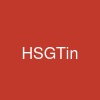 HSGTin