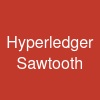 Hyperledger Sawtooth