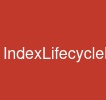 IndexLifecycleManagement