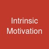 Intrinsic Motivation