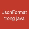 @JsonFormat trong java