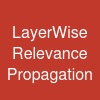 Layer-Wise Relevance Propagation