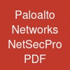 Paloalto Networks NetSec-Pro PDF