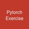 Pytorch Exercise