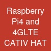 Raspberry Pi4 and 4G-LTE CAT-IV HAT