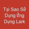 Tại Sao Sử Dụng Ứng Dụng Lark