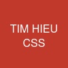 TIM HIEU CSS