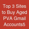 Top 3  Sites to Buy Aged PVA Gmail Accounts5