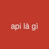 api là gì