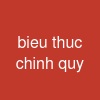 bieu thuc chinh quy