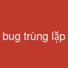 bug trùng lặp