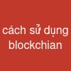 cách sử dụng blockchian