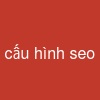 cấu hình seo