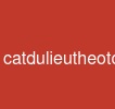 catdulieutheotoken